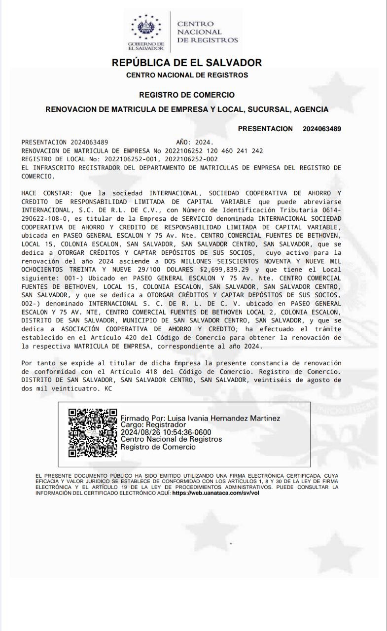 Vista previa del PDF