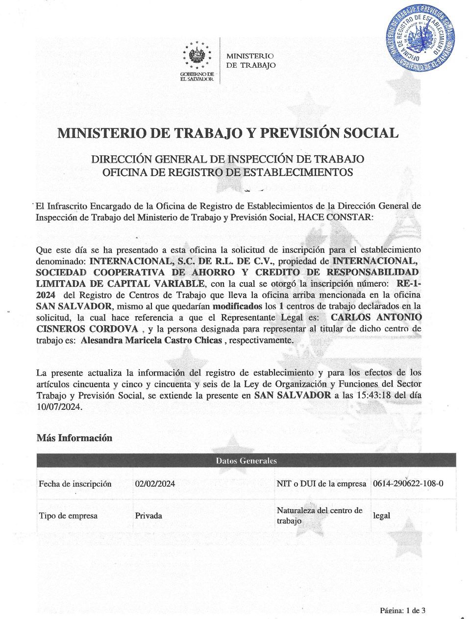 Vista previa del PDF